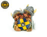 VIKINGTROLLEN - ZWEDEN - SCHILD