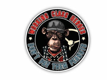 WORKING CLASS HERE DON&#039;T PAY PEANUTS MONKEY AAP