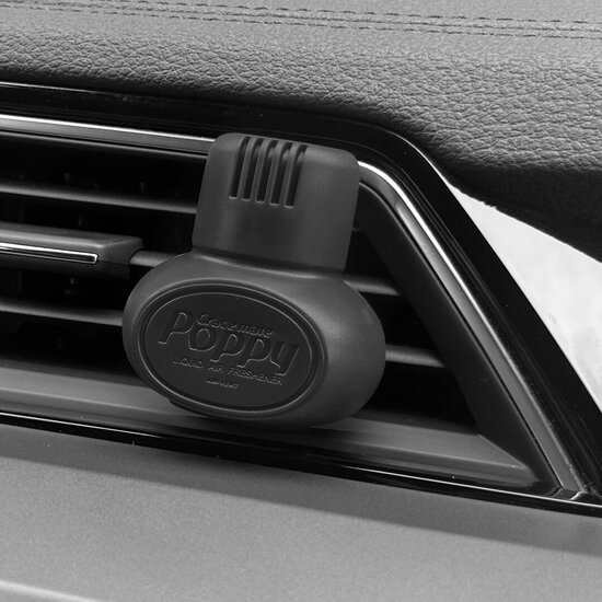 Poppy EVA Luchtverfrisser Frost Ice