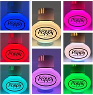 Poppy Led Verlichting RGB USB&amp;USB-C