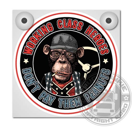 DON'T PAY PEANUTS - LICHTBAKJE DELUXE - COMPLEET