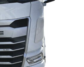 HOEKSCHILD / VUILAFSTOTER - DAF 2022+ XF/XG/XG+ 